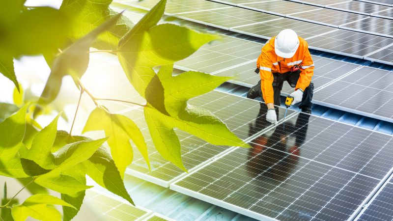 Professional Solar Panel Technician